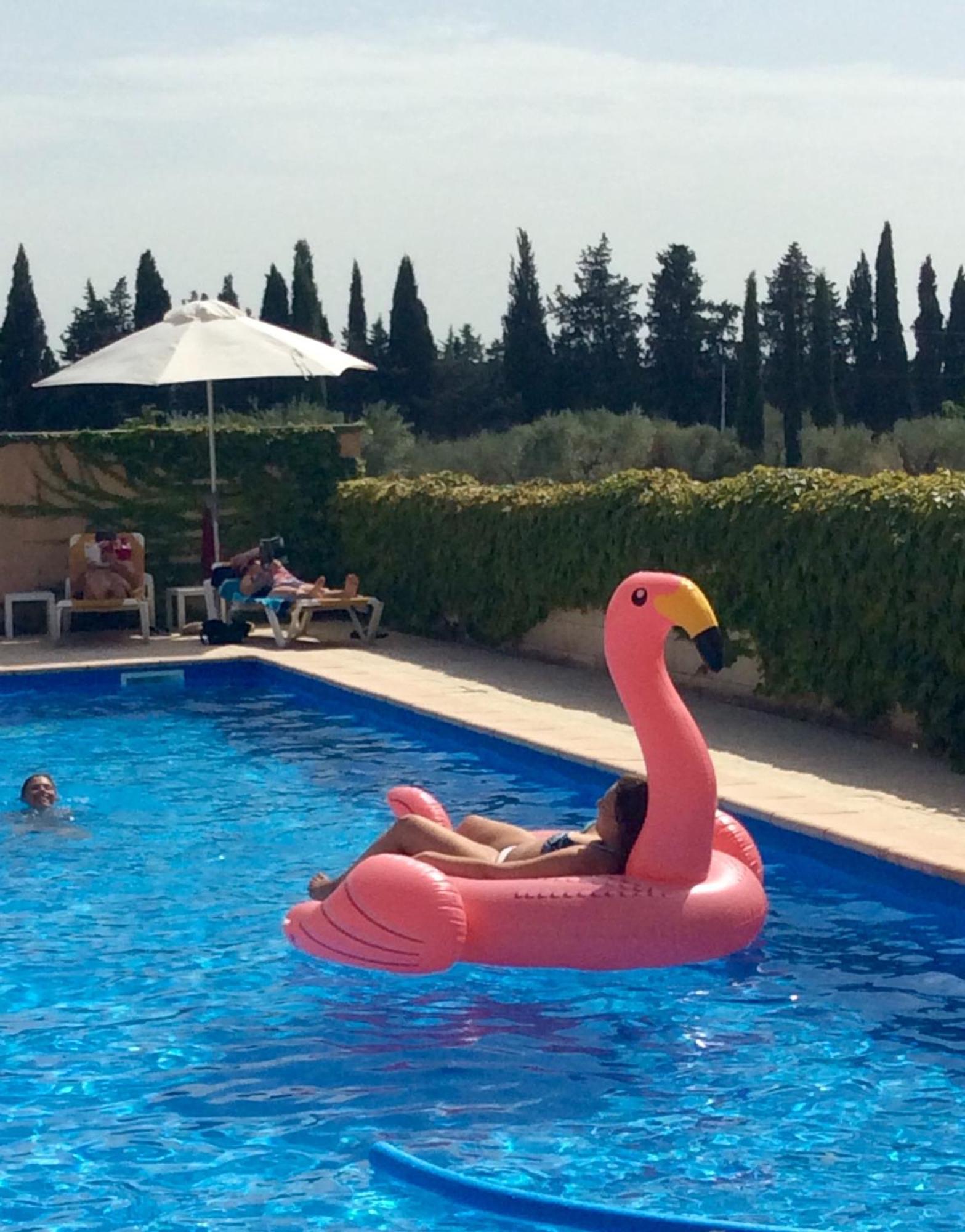 Hotel Terriciae Aux Portes De Maussane Les Alpilles Kültér fotó